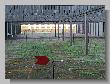 007_Benchrest-BR50-Druten_2013.JPG