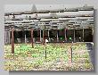 030_Benchrest-BR50-Druten_2013.JPG