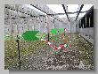 056_Benchrest-BR50-Druten_2013.JPG