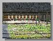100_Benchrest-BR50-Druten_2013.JPG
