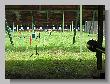 174_Benchrest-BR50-ATPN-Thionville-2016.JPG